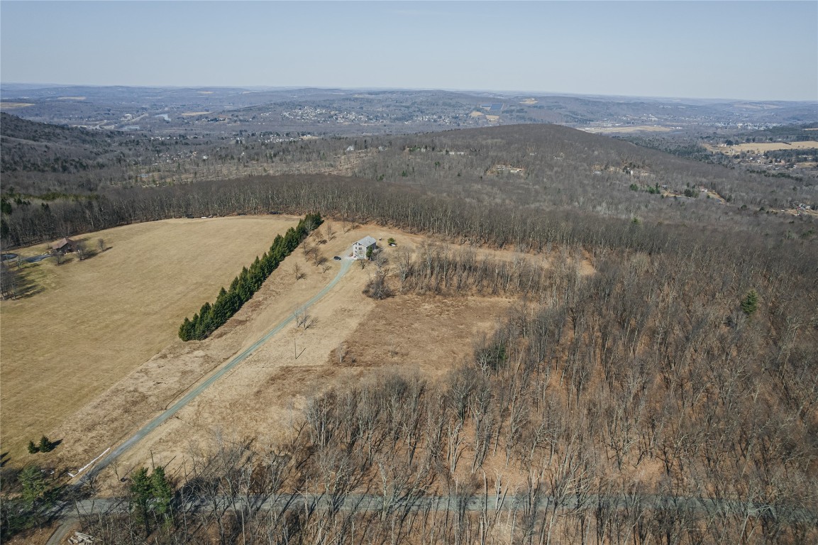 Baker Hill, Vestal, New York image 4