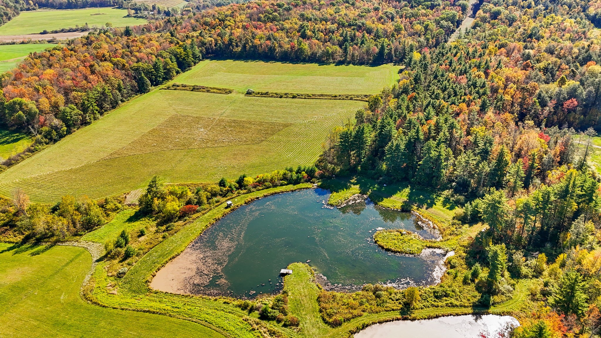 LOT 5 Waits Road