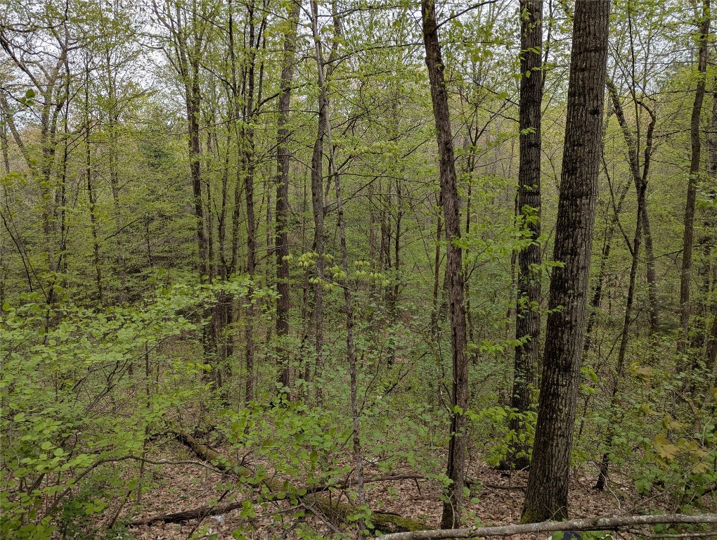 00 Union Road, Candor, New York image 3