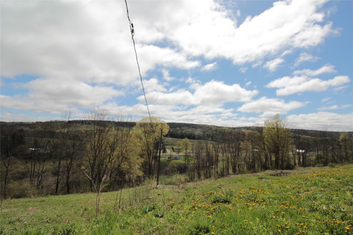 200 Mertz Road, Bainbridge, New York image 34