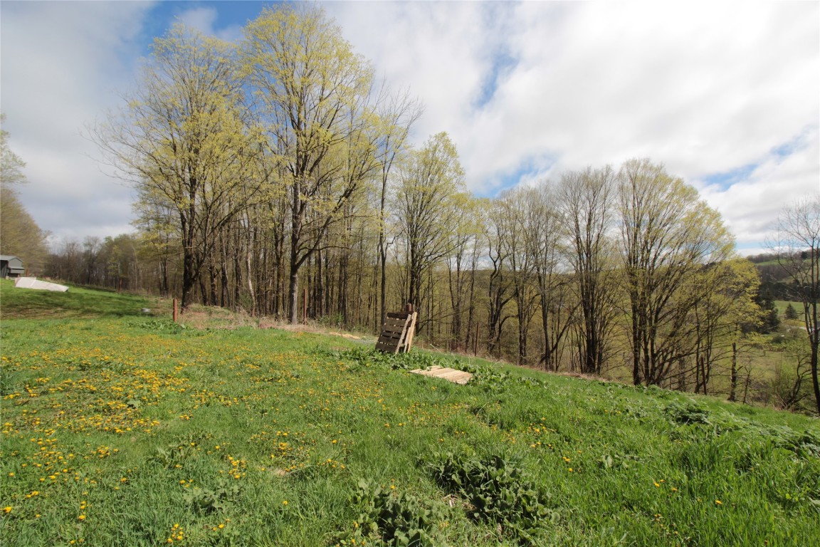 200 Mertz Road, Bainbridge, New York image 38