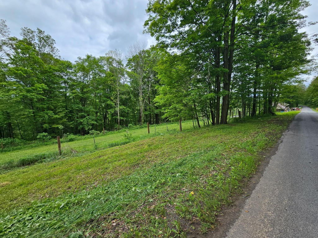 200 Mertz Road, Bainbridge, New York image 50