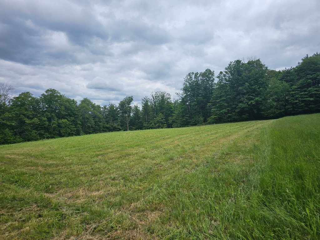 200 Mertz Road, Bainbridge, New York image 48