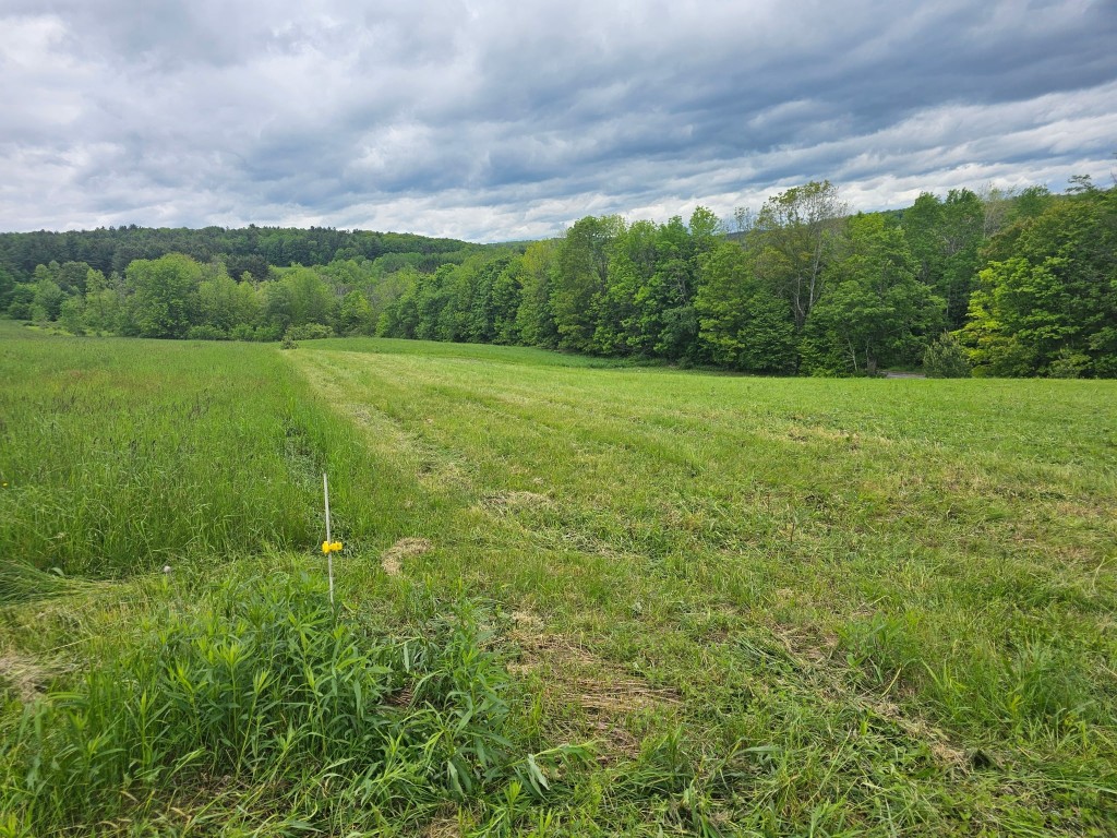 200 Mertz Road, Bainbridge, New York image 47