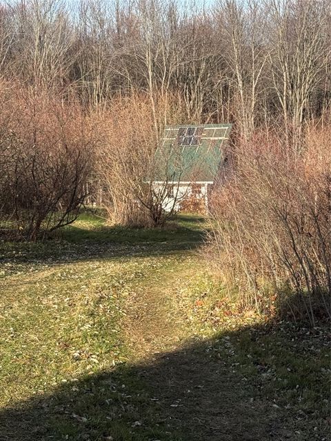 Vacant Land For Sale - 00 Campbell Road<br/> Owego, NY 13827