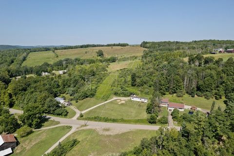 Vacant Land For Sale - 2121 Bradley Road<br/> Johnson City, NY 13790