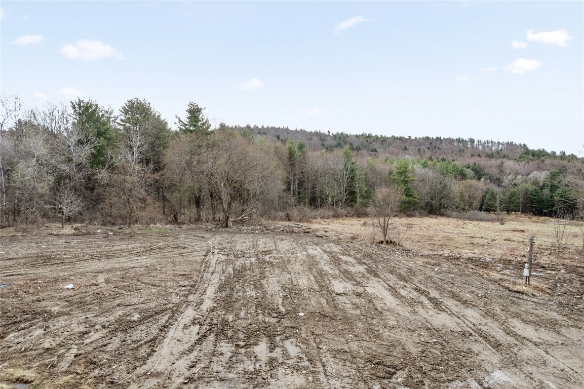 170 Perch Pond Road, Nineveh, New York image 2