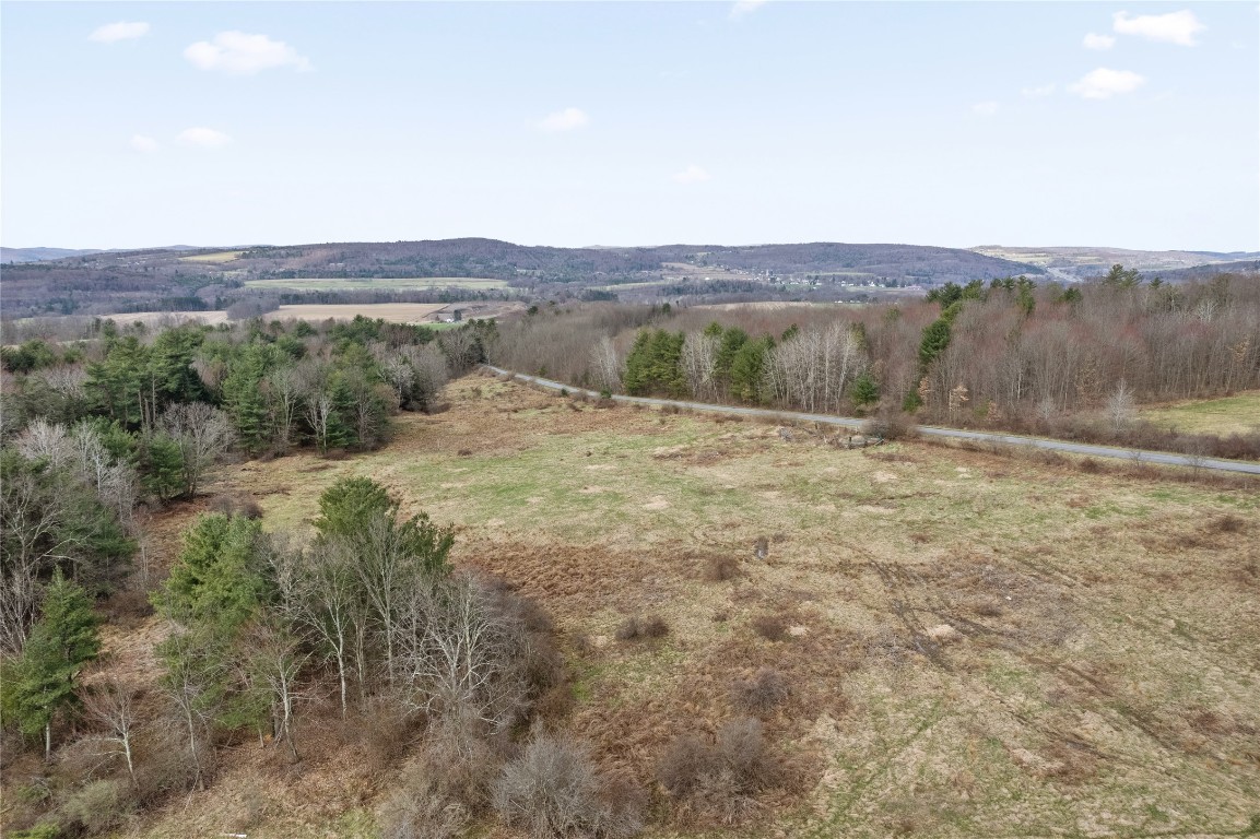 170 Perch Pond Road, Nineveh, New York image 9