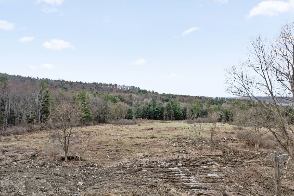 170 Perch Pond Road, Nineveh, New York image 12