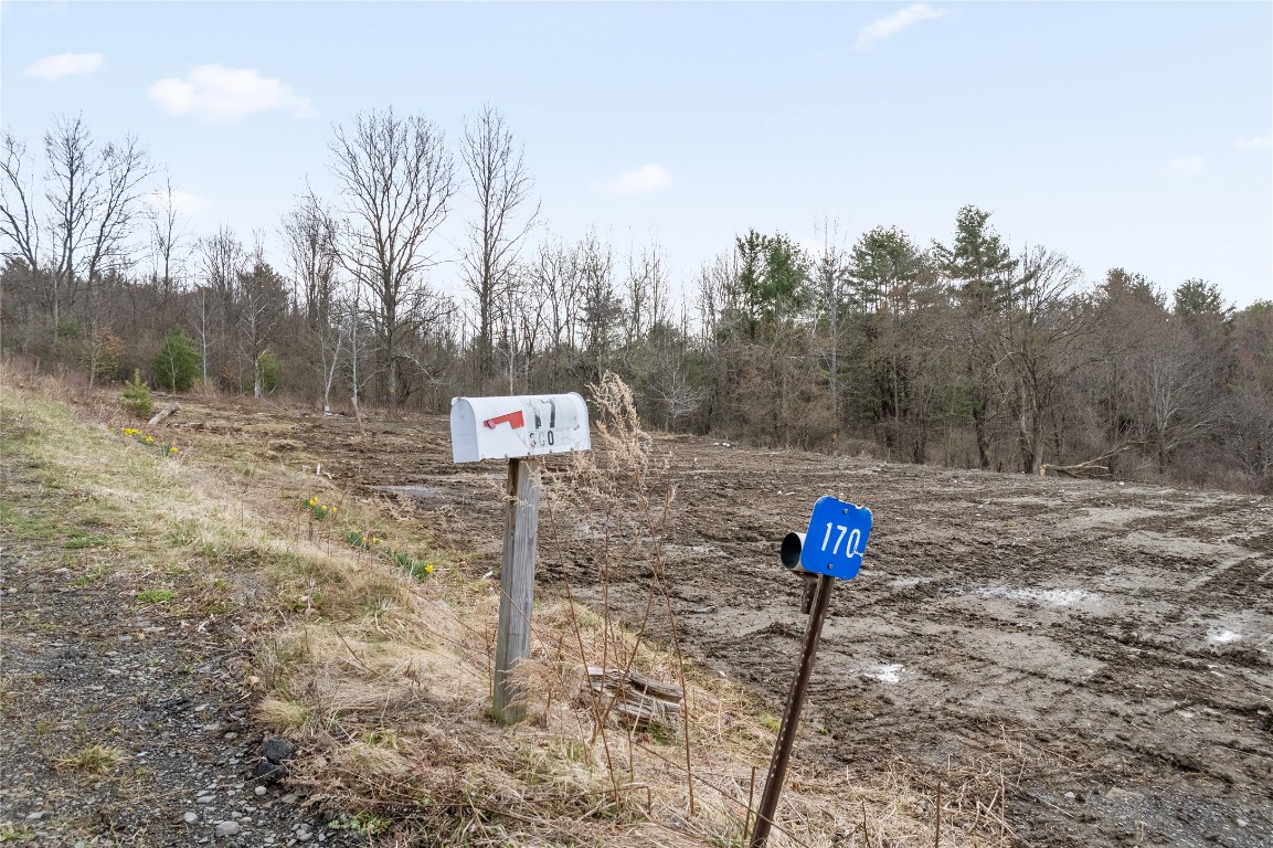 170 Perch Pond Road, Nineveh, New York image 13