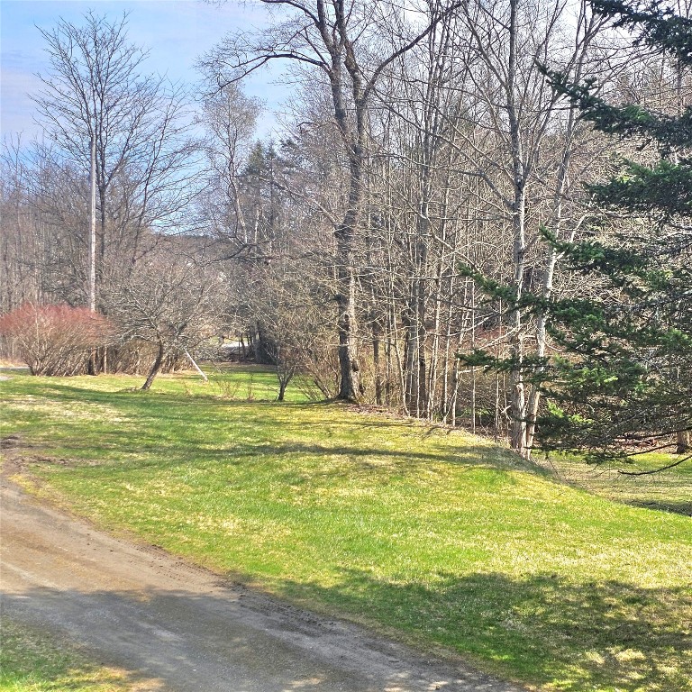 4546 Murphy Rd, Binghamton, New York image 18