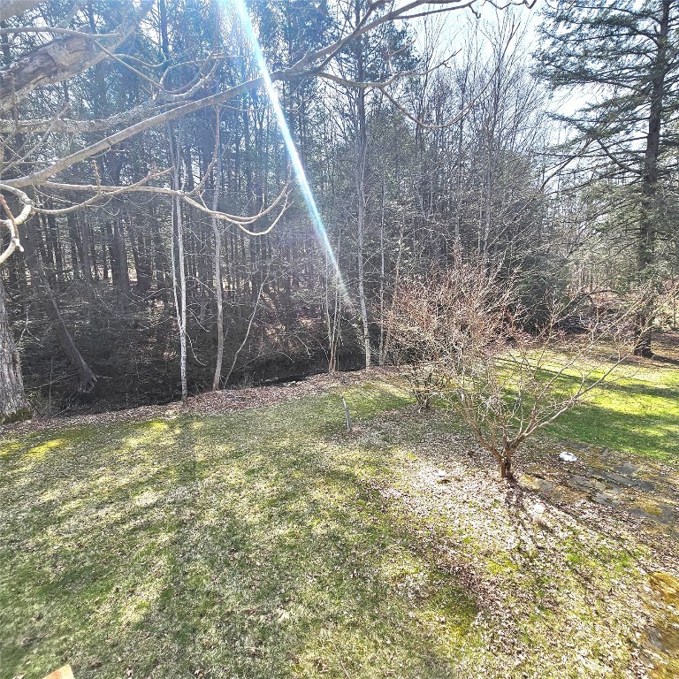 4546 Murphy Rd, Binghamton, New York image 19