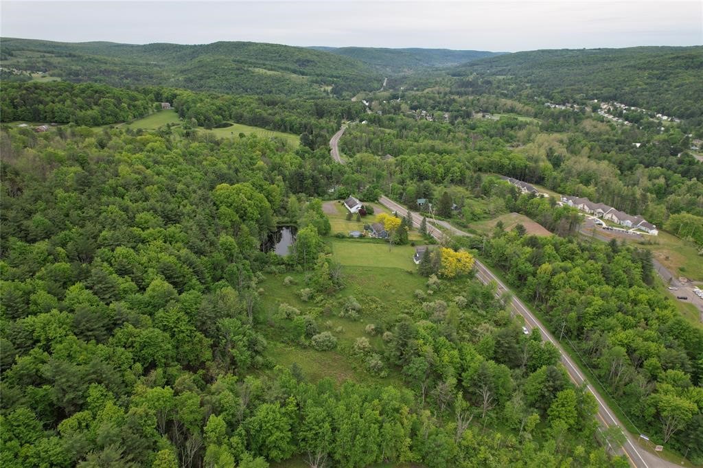 Photo 1 of 8 — 2029 & 2025 NYS RTE 26S, Vestal, NY 13850