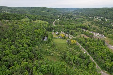 Vacant Land For Sale - 2029 & 2025 Nys Rte 26s<br/> Vestal, NY 13850