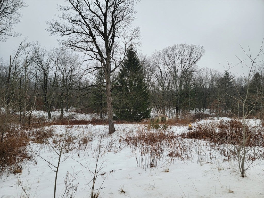 1523 Oakdale Road - Photo 2