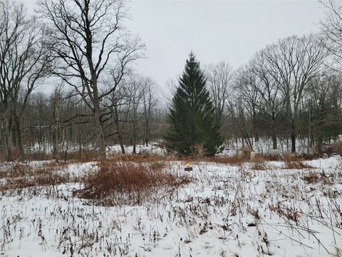 Vacant Land For Sale - 1523 Oakdale Road<br/> Johnson City, NY 13790