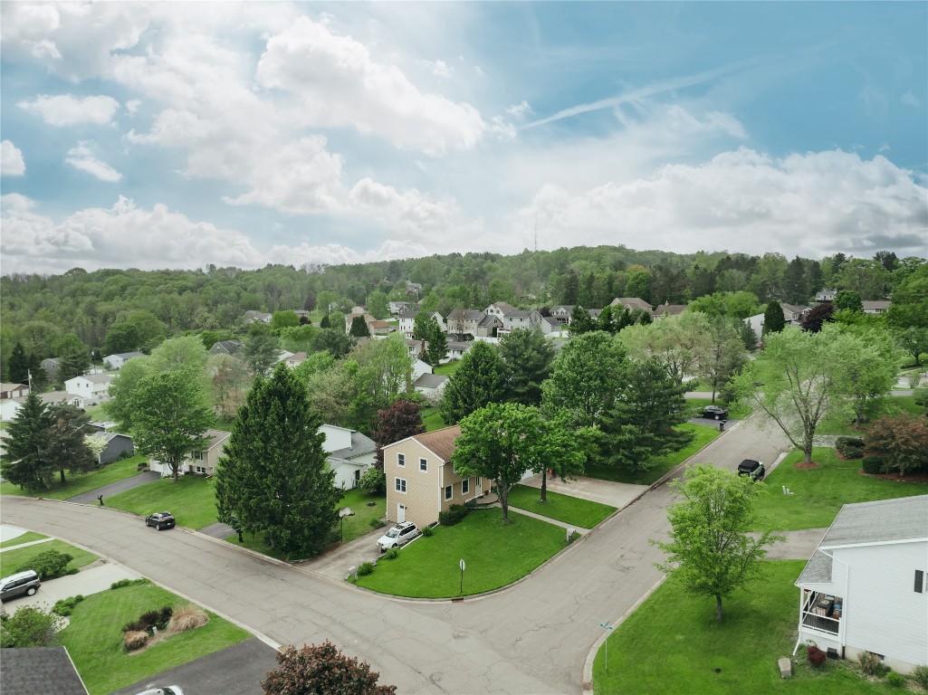 317 Hearthstone Drive, Endwell, New York image 4