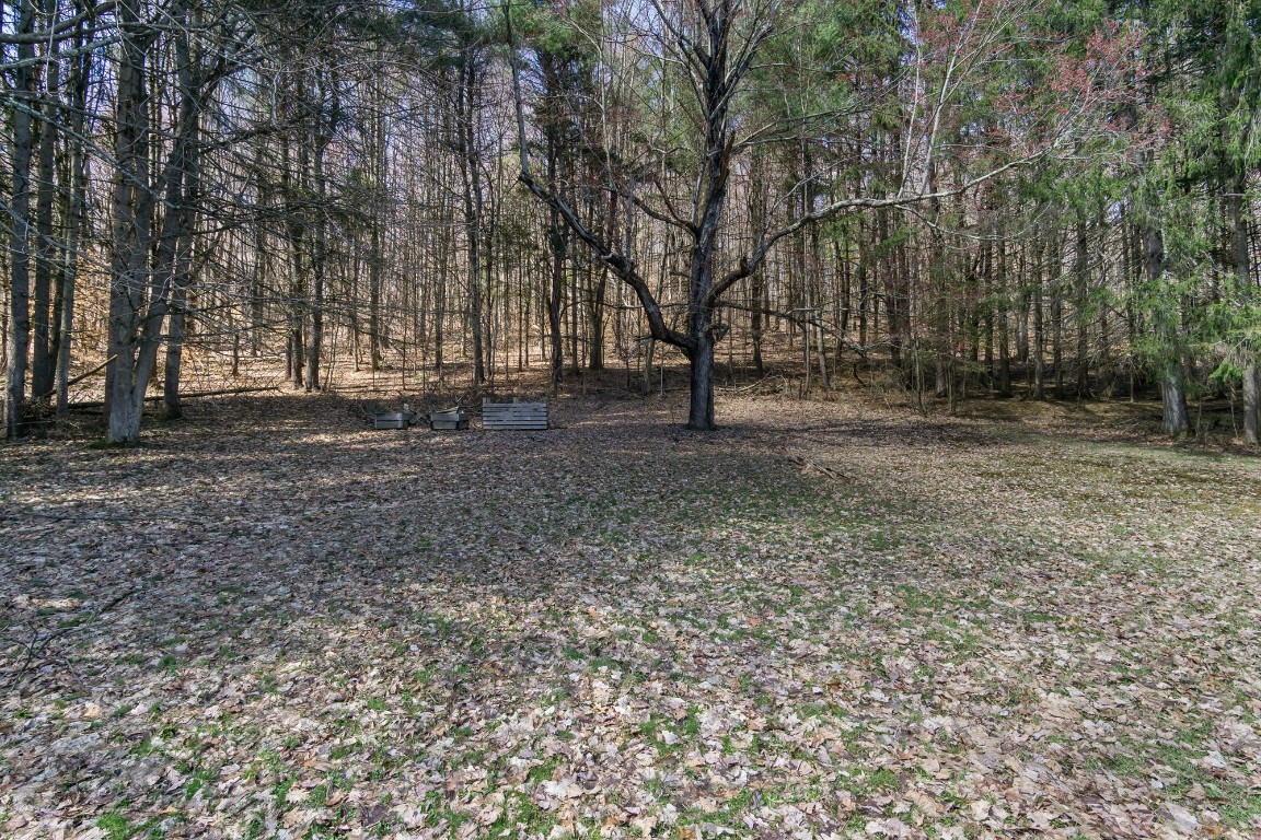 193 Fenner Road, Port Crane, New York image 34