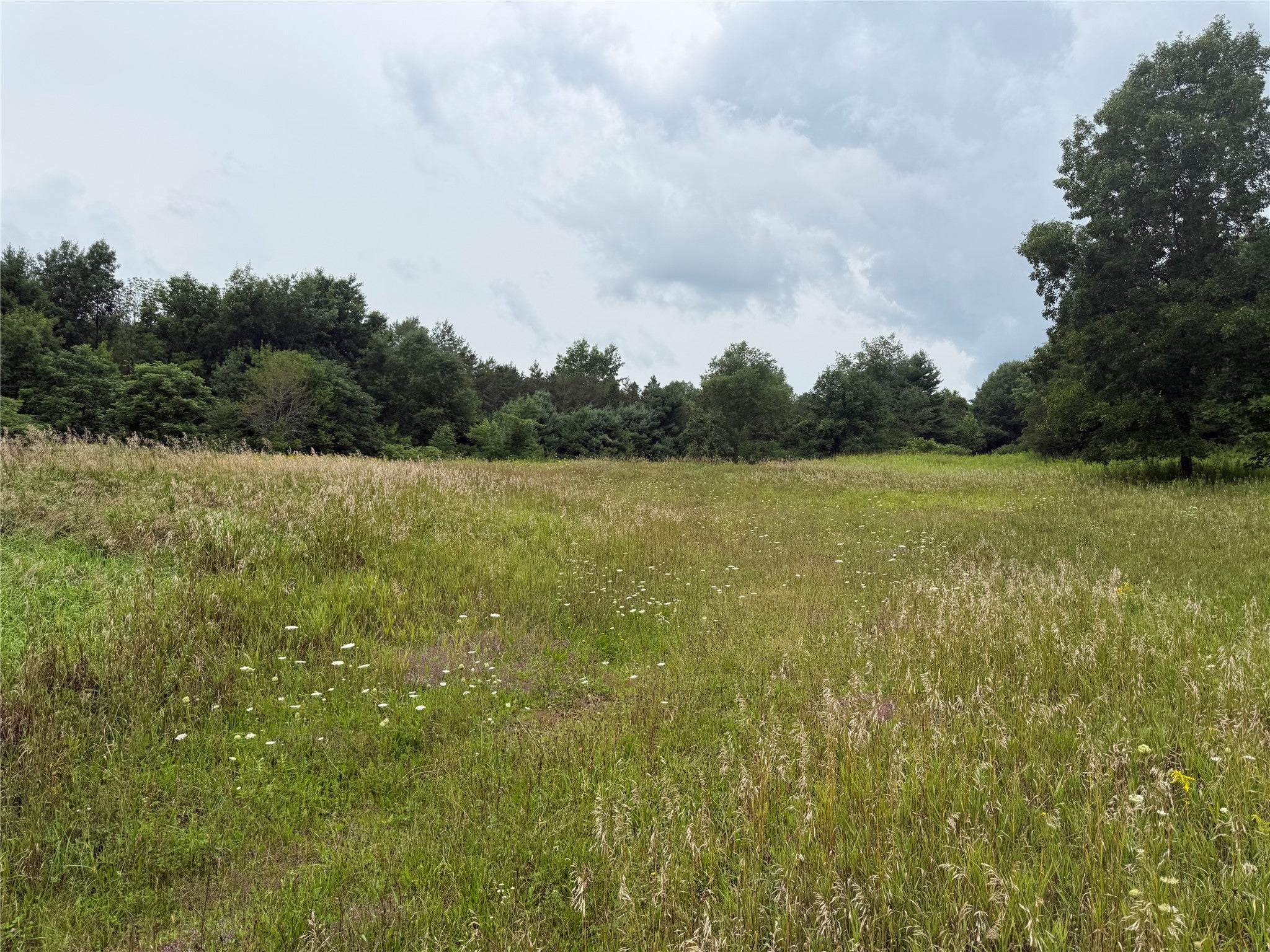 3127 Route 12 - Photo 4