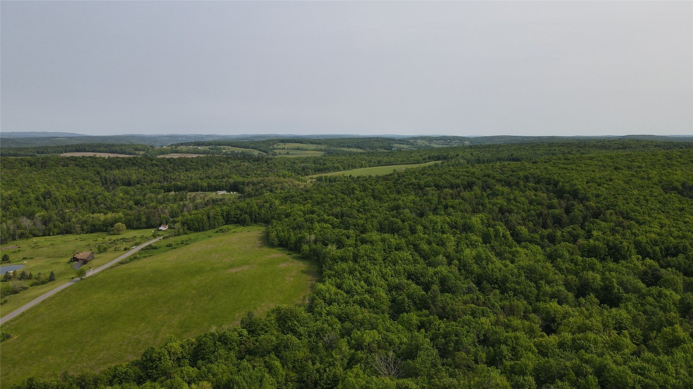 156 Hemingway Road Lot 1 Rd, Whitney Point, New York image 6