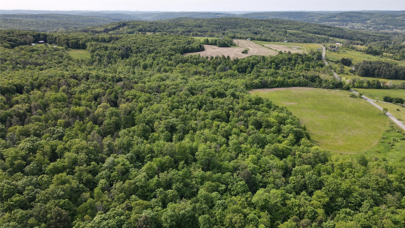 156 Hemingway Road Lot 1 Rd, Whitney Point, New York image 12