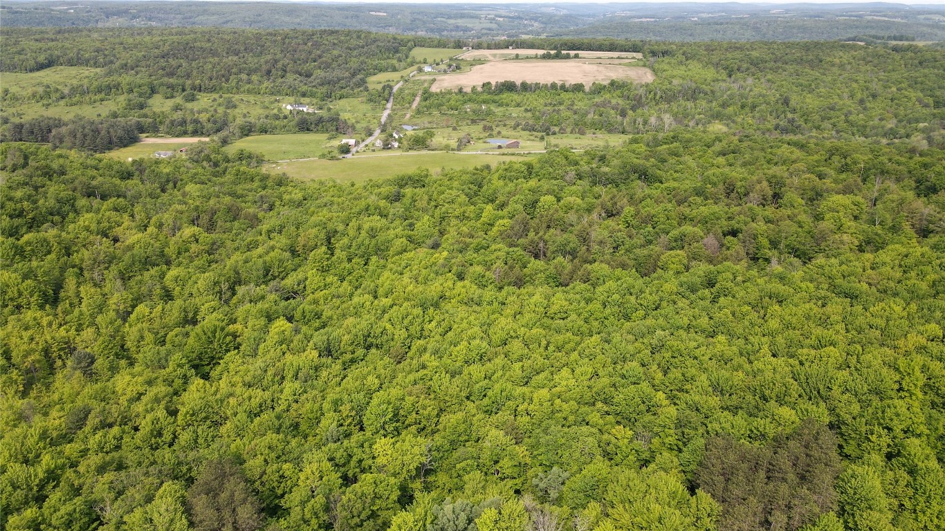 156 Hemingway Road Lot 1 Rd, Whitney Point, New York image 8