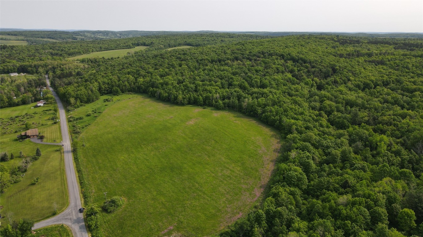 156 Hemingway Road Lot 1 Rd, Whitney Point, New York image 4