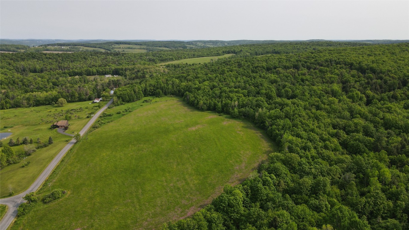156 Hemingway Road Lot 1 Rd, Whitney Point, New York image 5