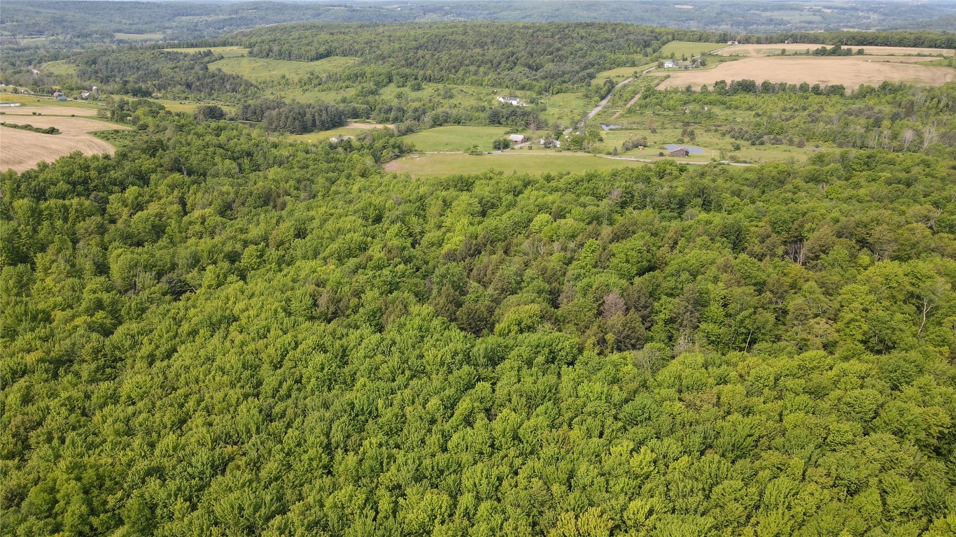 156 Hemingway Road Lot 1 Rd, Whitney Point, New York image 9