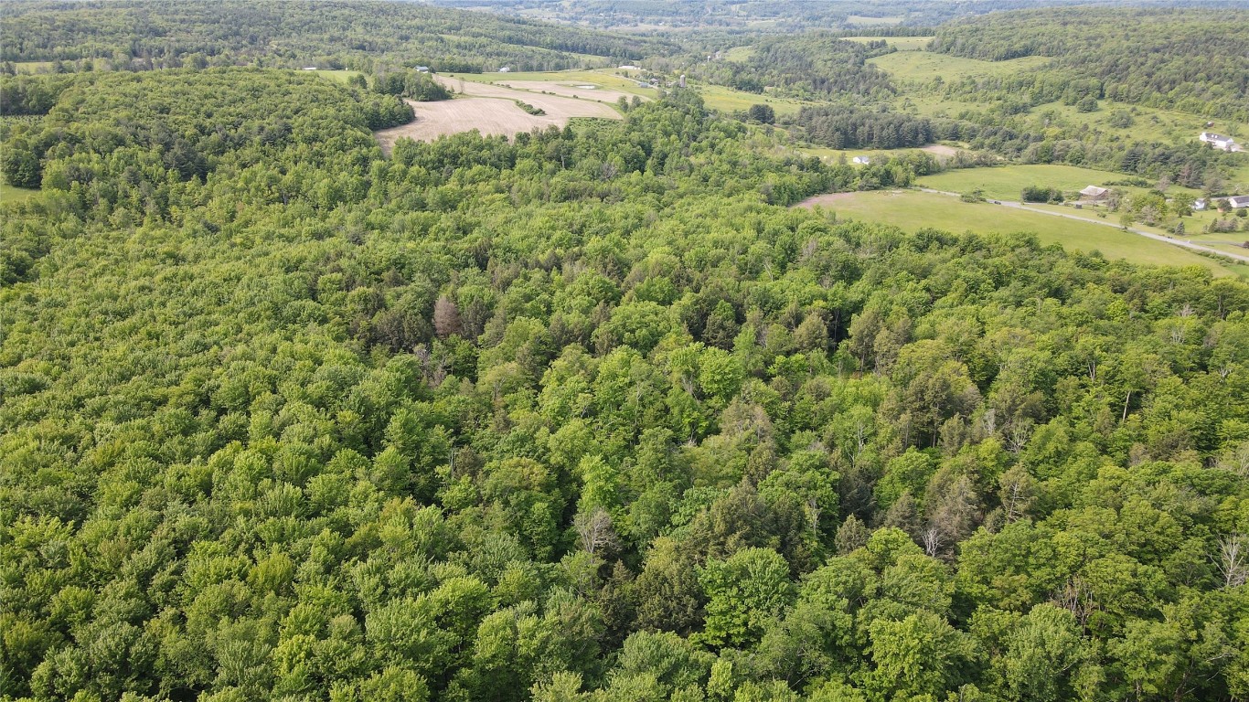156 Hemingway Road Lot 1 Rd, Whitney Point, New York image 10