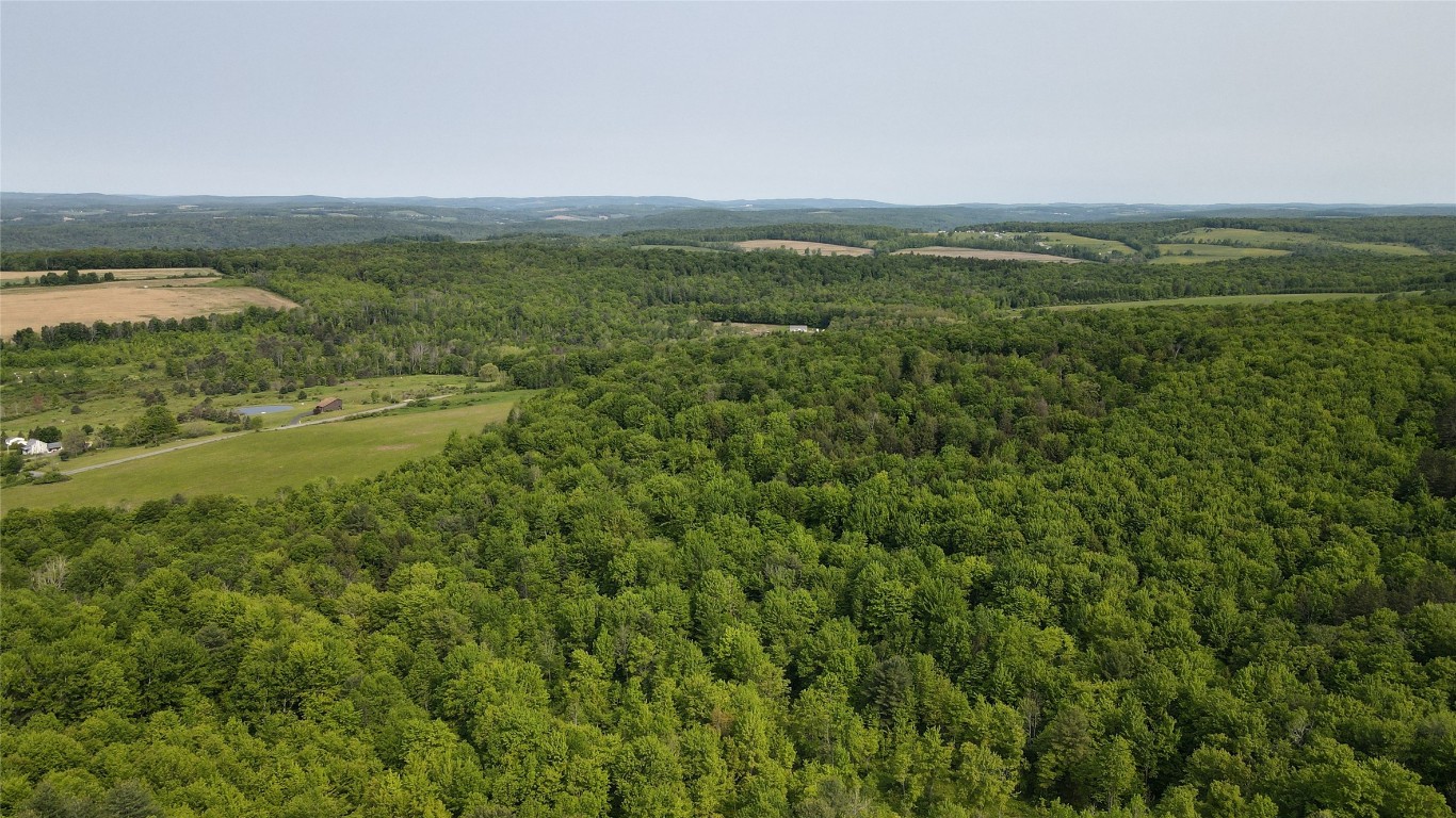 156 Hemingway Road Lot 1 Rd, Whitney Point, New York image 7
