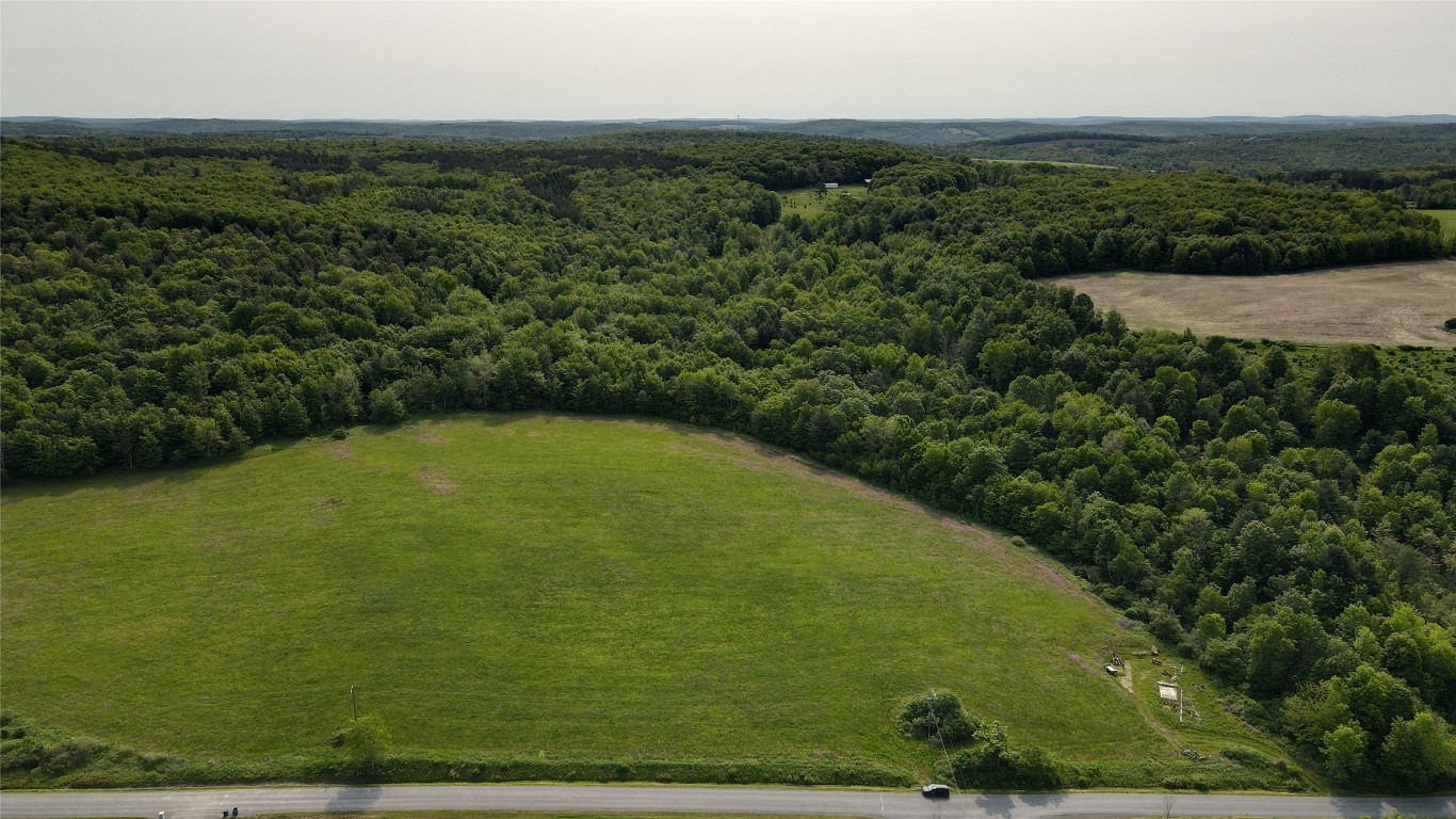 156 Hemingway Road Lot 1 Rd, Whitney Point, New York image 2