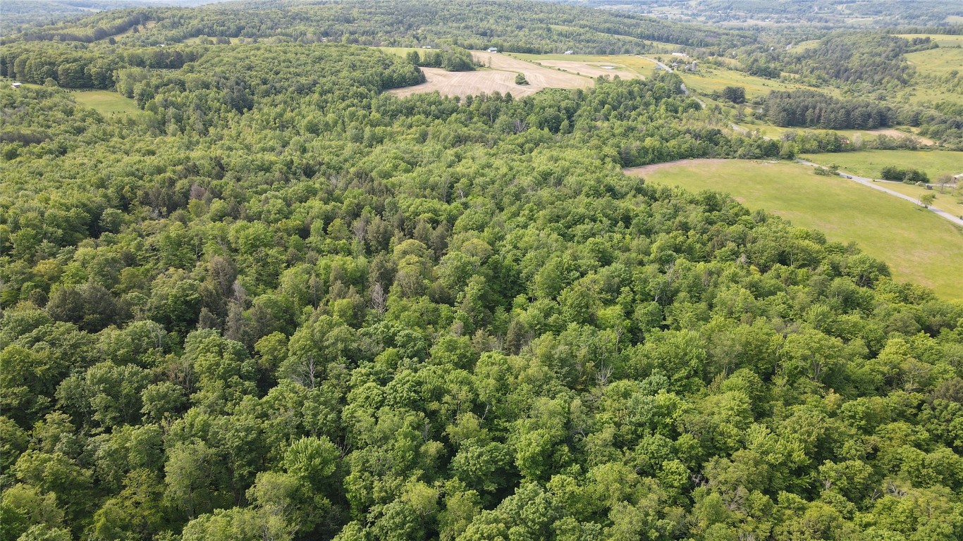 156 Hemingway Road Lot 1 Rd, Whitney Point, New York image 11