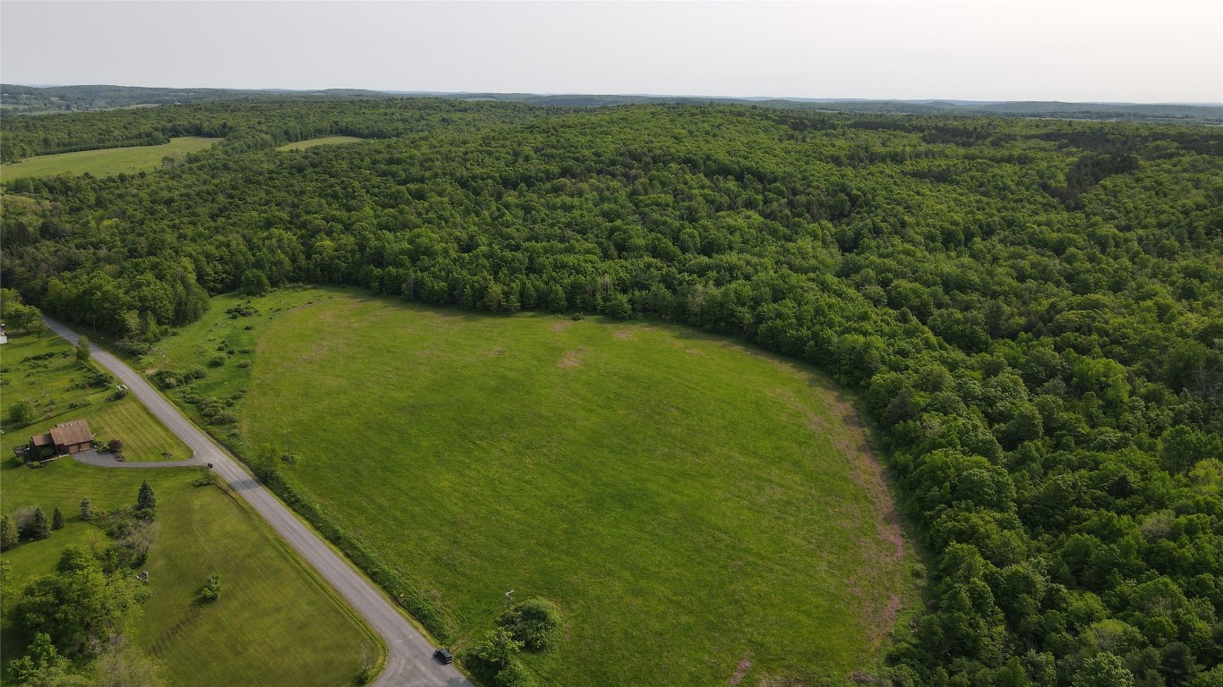 156 Hemingway Road Lot 1 Rd, Whitney Point, New York image 3