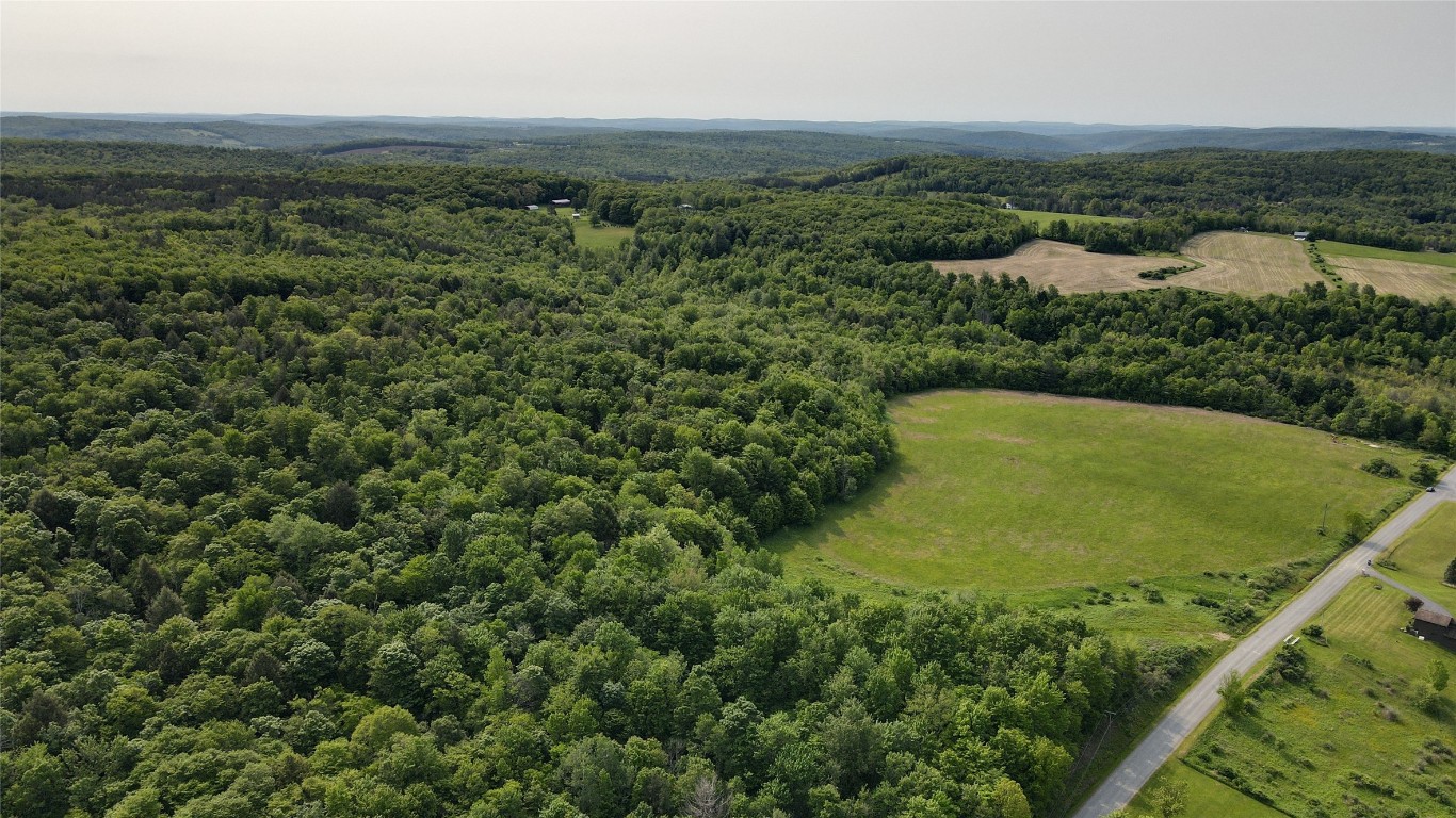 156 Hemingway Road Lot 1 Rd, Whitney Point, New York image 13