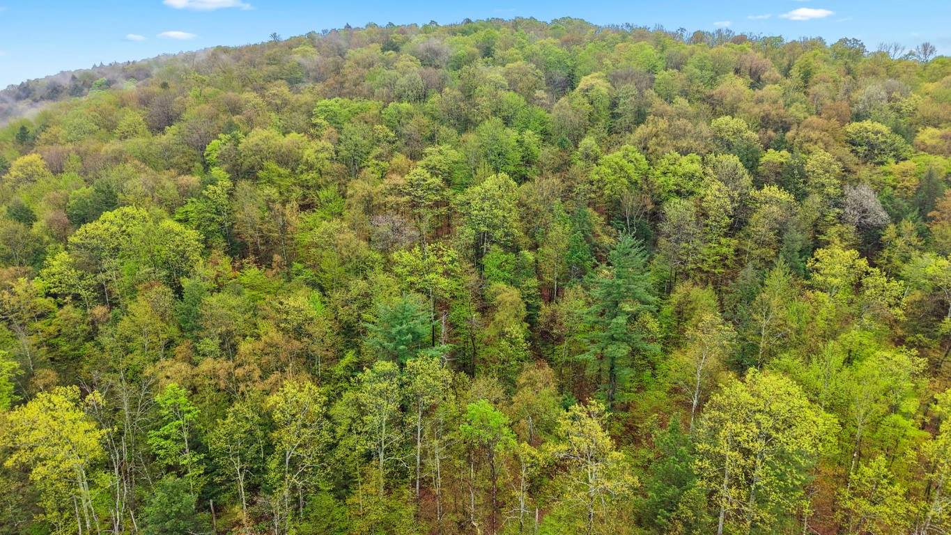 Phillips Road, Windsor, New York image 2