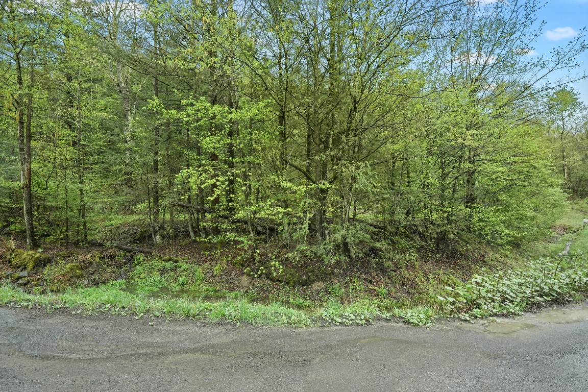 Phillips Road, Windsor, New York image 3