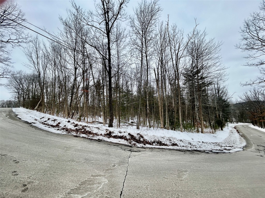 3245 Brown Road, Binghamton, New York image 2