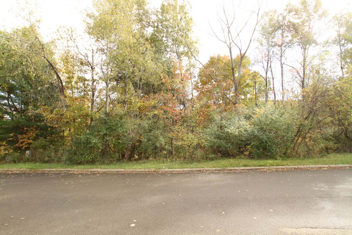 1209 Lot #4 Domenica Drive, Endicott, New York image 1