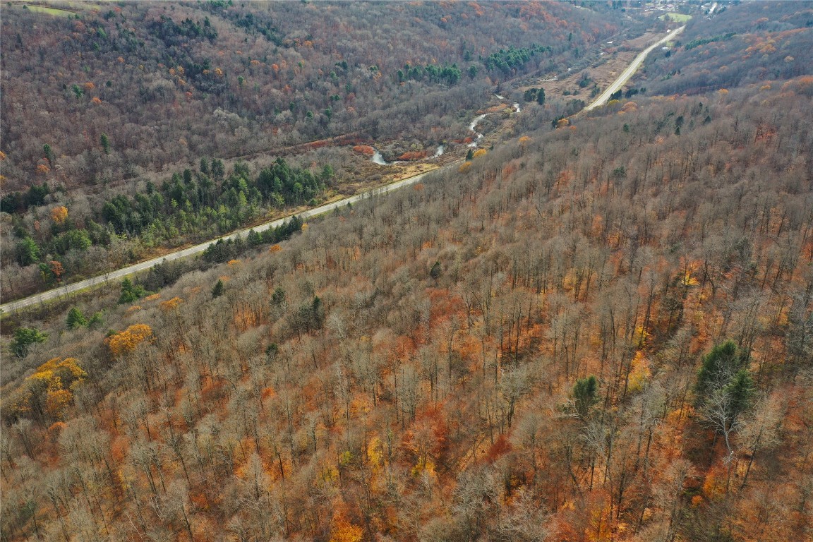 State Route 38, RICHFORD, New York image 17