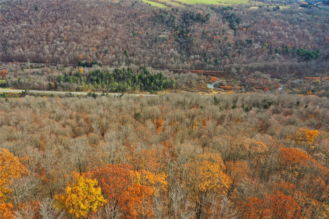 State Route 38, RICHFORD, New York image 9