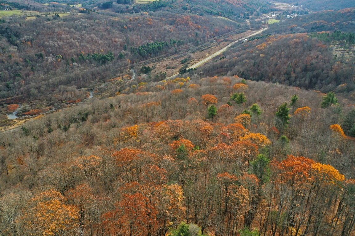 State Route 38, RICHFORD, New York image 8