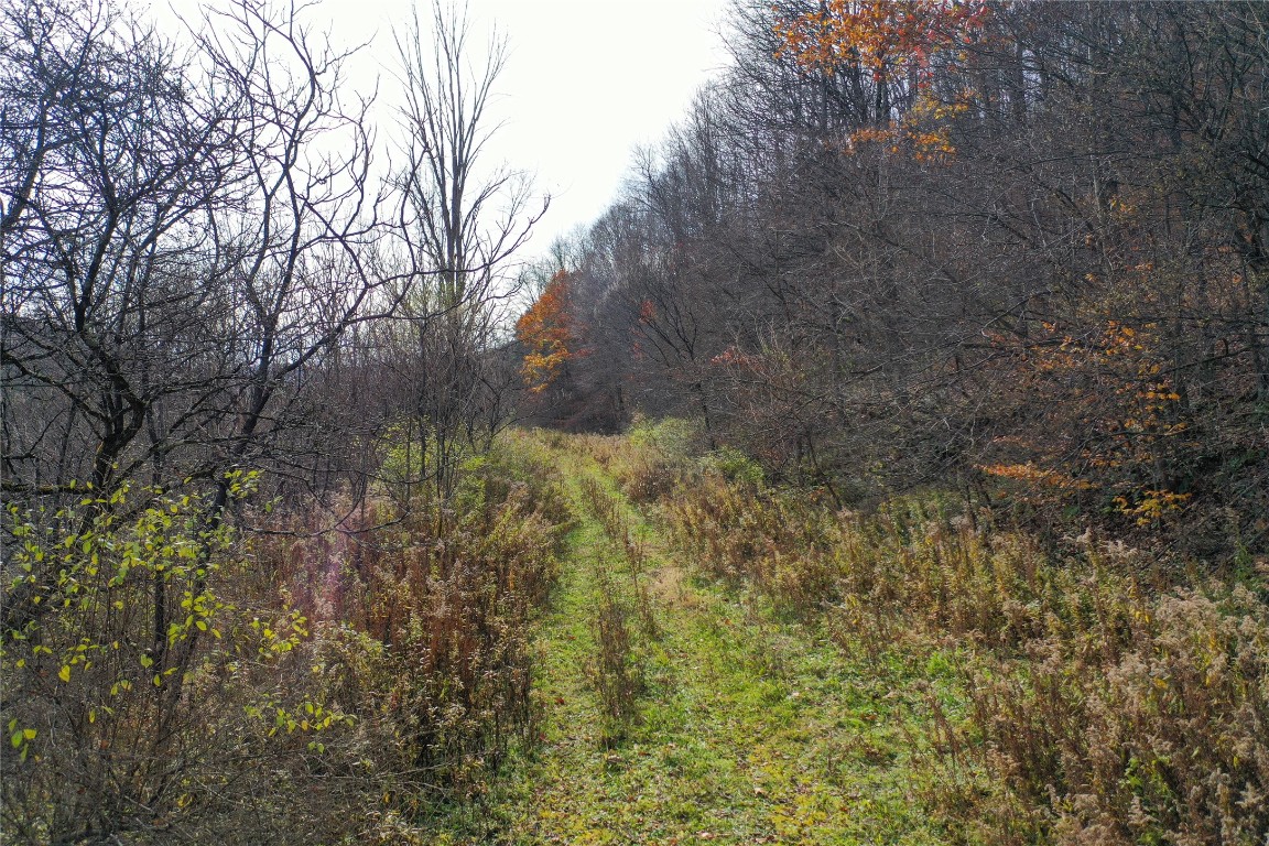 State Route 38, RICHFORD, New York image 39