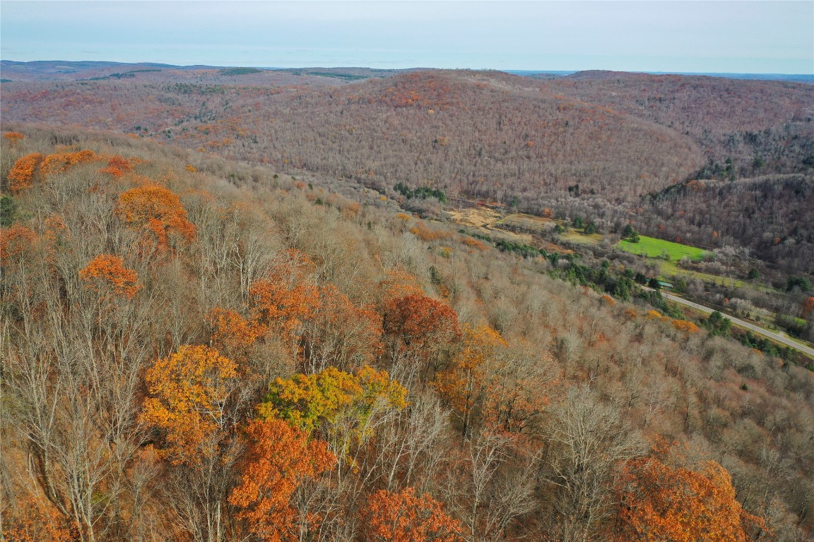 State Route 38, RICHFORD, New York image 7