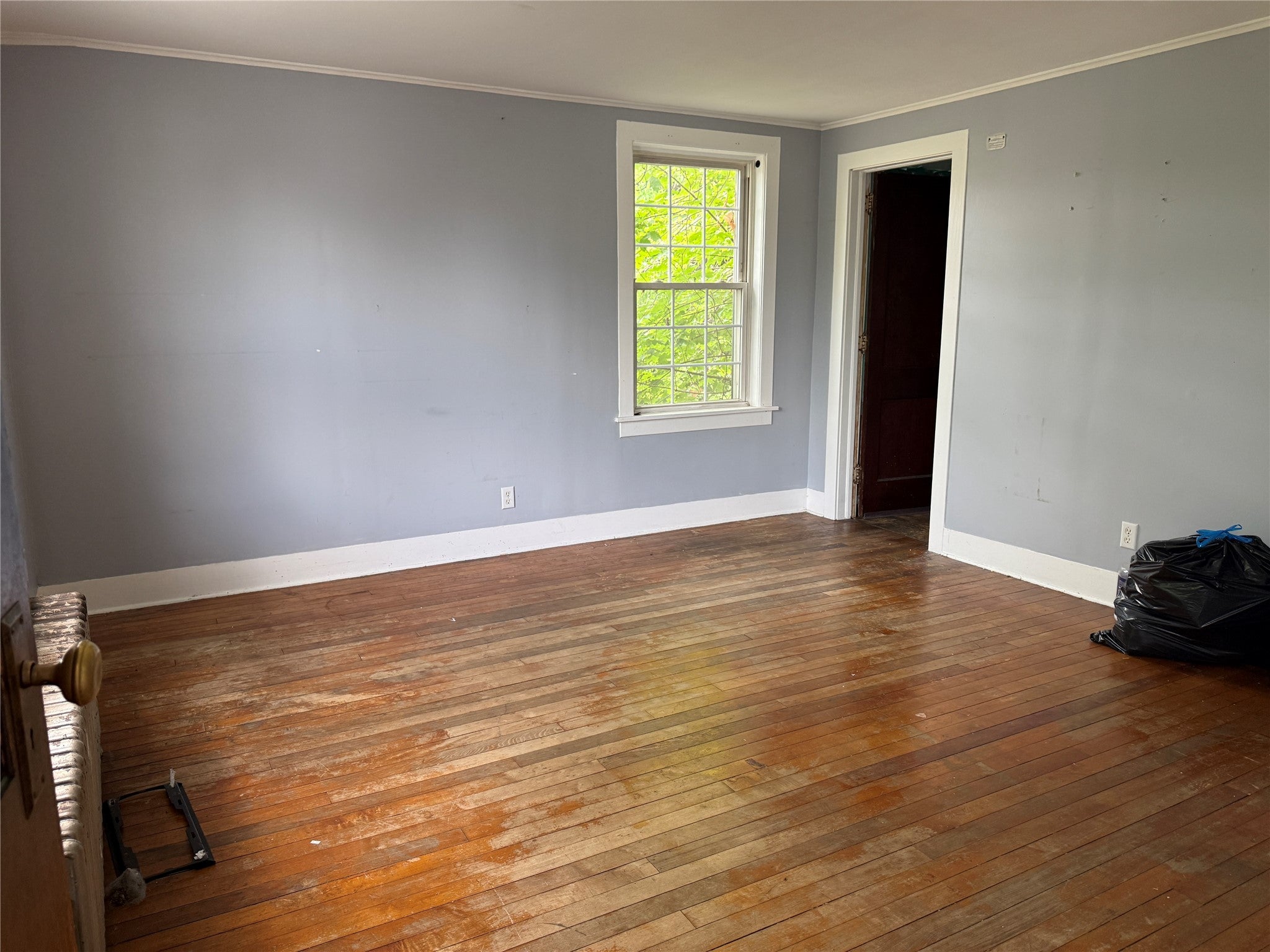 152 Murray Street - Photo 4