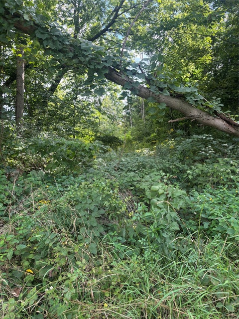 Vacant Land For Sale - 00 Church Street<br/> Barton, NY 13734