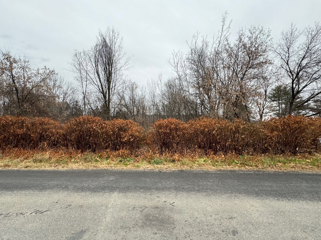 39-51 Woodside Avenue, Conklin, New York image 1