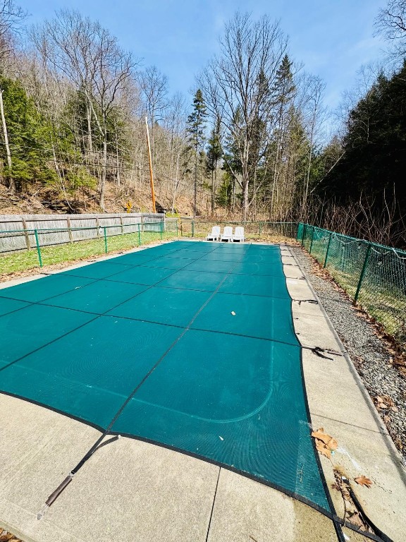 2808 Hoxie Gorge Road, Marathon, New York image 38