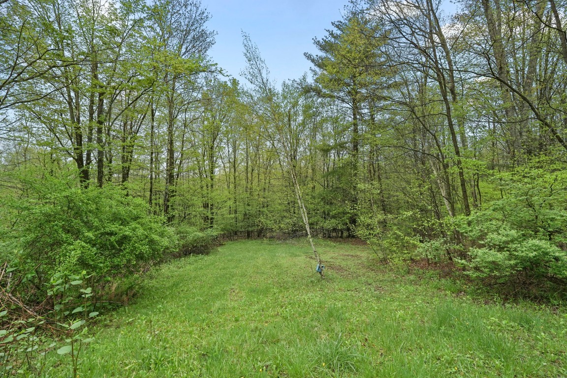 470 Philips Road, Windsor, New York image 4
