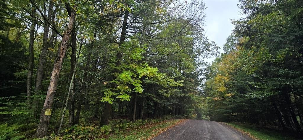 0 Sprague Road - Photo 2